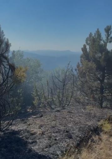 Normalizohet situata e zjarrit në “Lëndinën e Madhe”/ Në terren 11 forca zjarrfikëse, 7 punonjës pyjorë dhe 2 mjete 11 zjarrr 2 1