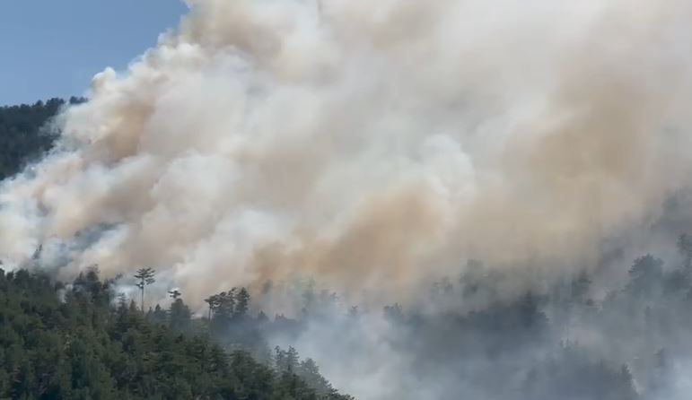 Alarm në Pukë/ Zjarri në Malin e Tërbunit del jashtë kontrollit e i afrohet qytetit! Vatrat shtrihen në 12 km, kërkohet ndërhyrje urgjente nga ajri 18 768678678678