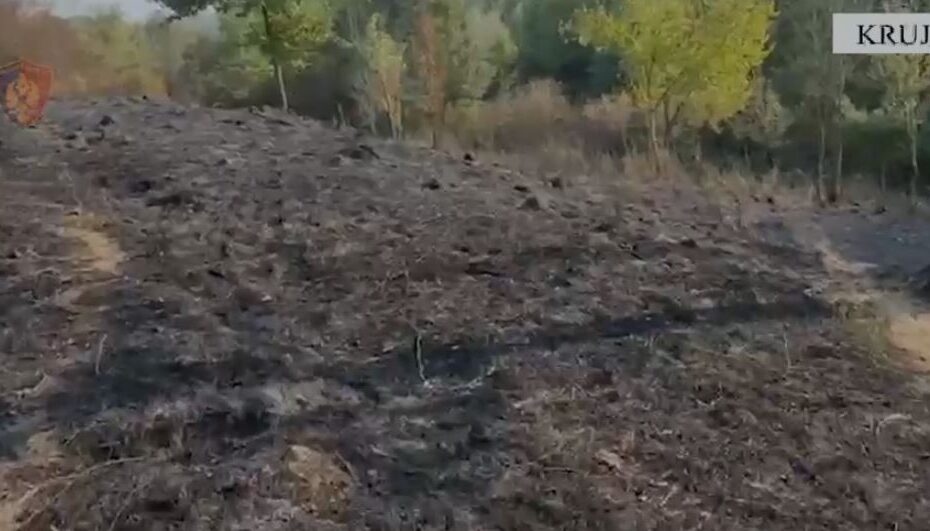 Capture 57
