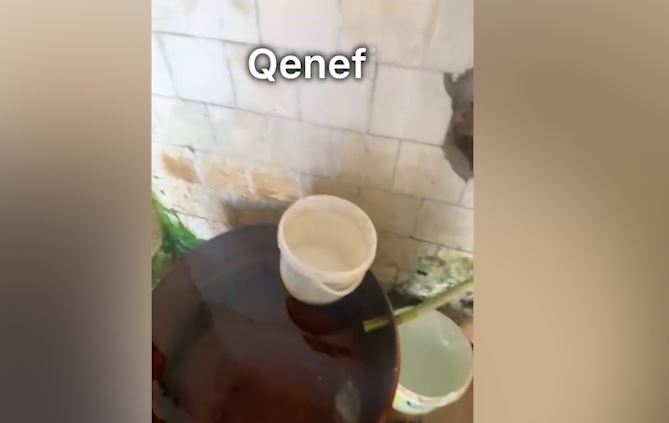 “Minj, insekte, lagështirë dhe kushte skandaloze”/ Korreshi ndan pamjet tronditëse nga stacioni zjarrfikës në Lushnje, punonjësi denoncon: Nuk po na japin as rrogat 1 KORESHI