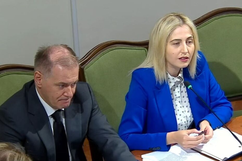 “Paketa për Shqipërinë”/ Zhupa: Po përdoret ligji për t’i hapur rrugë interesave private, ja çfarë kërkon PD-ja 14 zhupaaaaaaaa