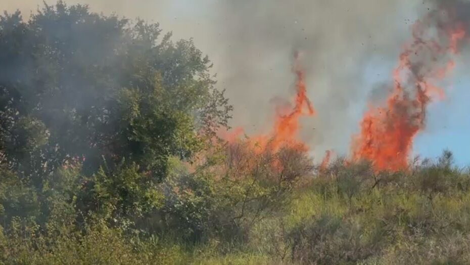 Zjarr masiv në afërsi të kodrave tē Parkut Arkeologjik të Apolonisë 8 zjarr ne fier