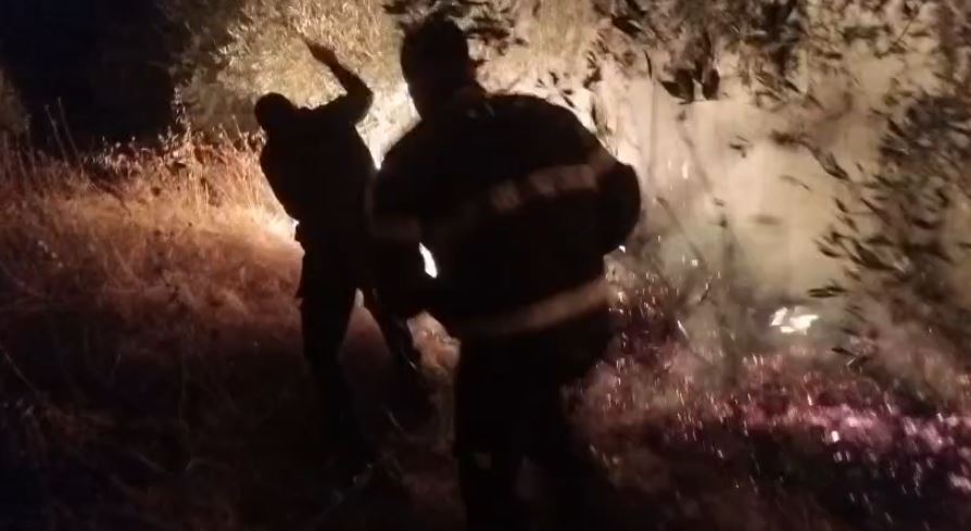 Alarm në Peqin! Banorë dhe zjarrfikës në luftë me flakët, zjarri prek banesat, digjet një shtëpi 6 Capture 21
