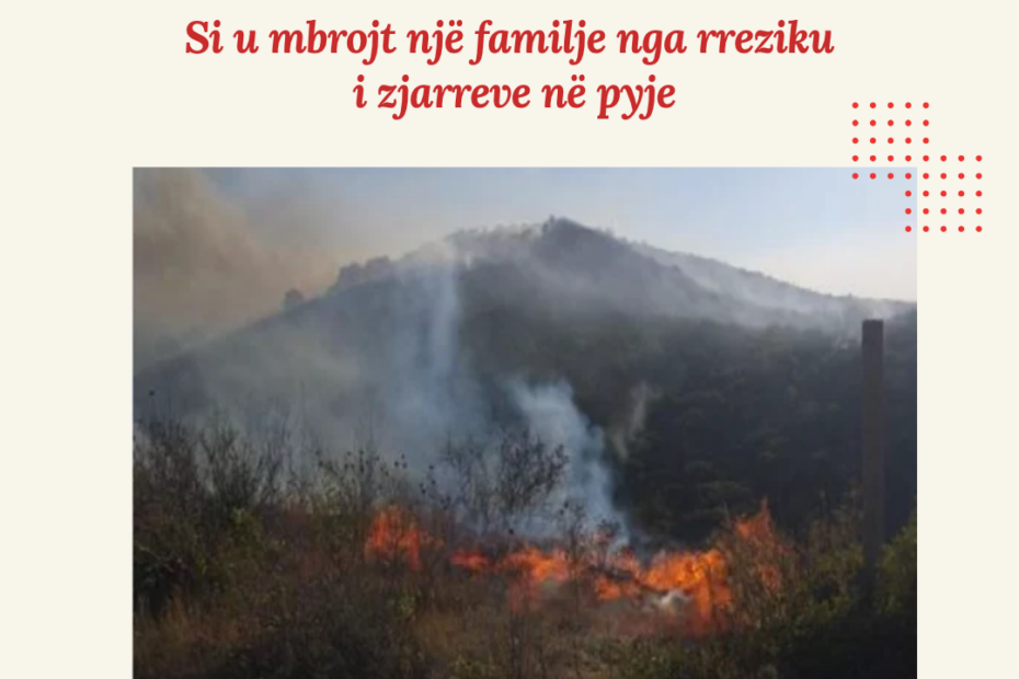 Solidar Nisma advokimi
