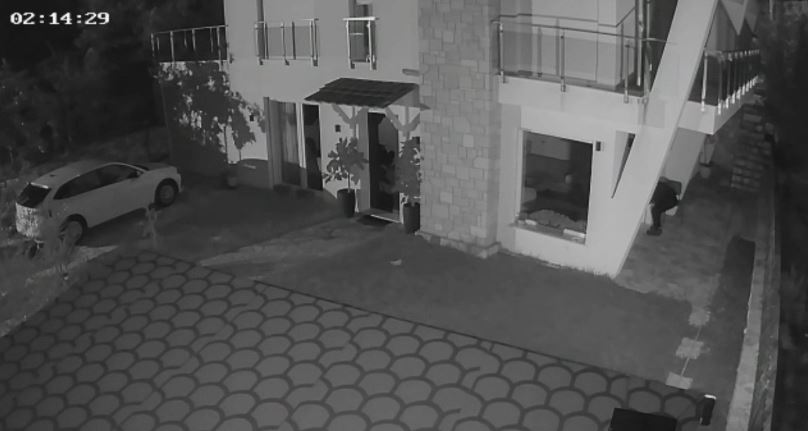 “Skifterët” kthehen në makth për banorët e Kaninës, seri vjedhjesh muajt e fundit (VIDEO) 1 kanine