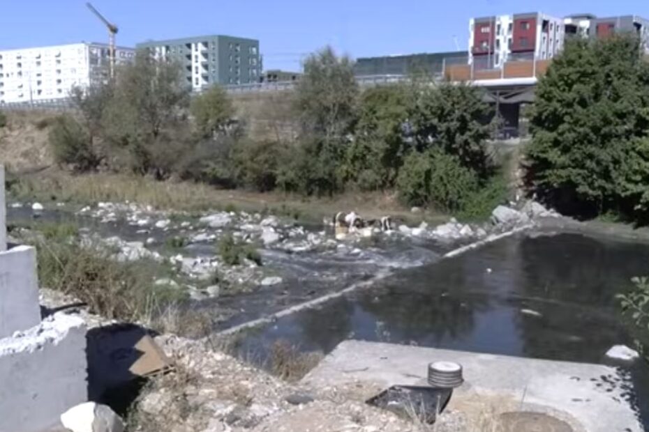 mbturina