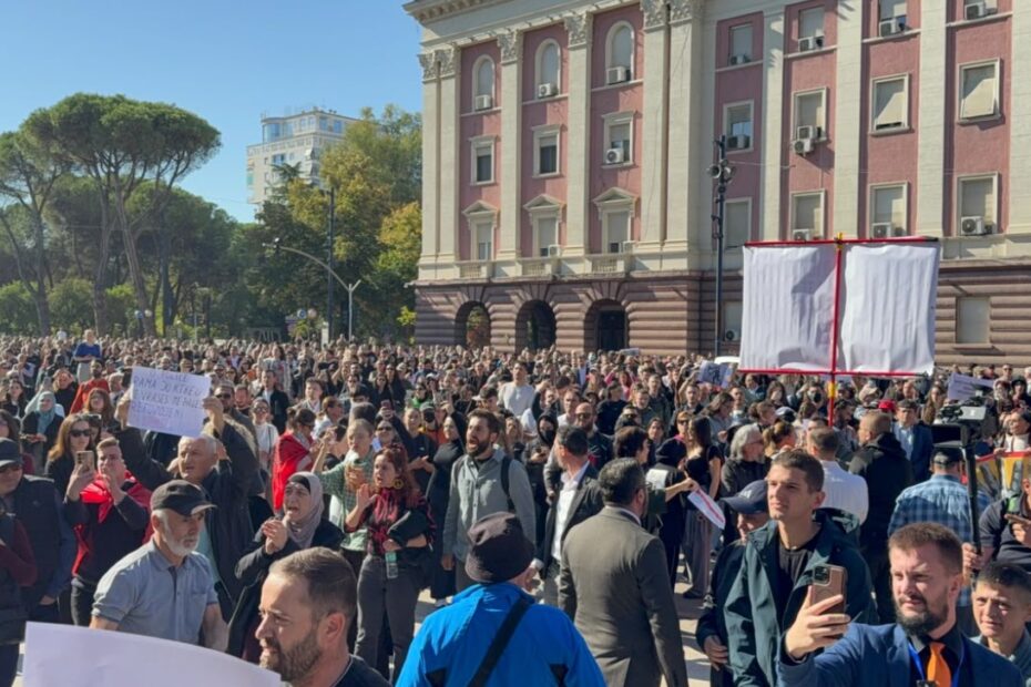 pedagoget dhe studentet te Kryeministria